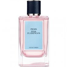  پینک فلامینگوز